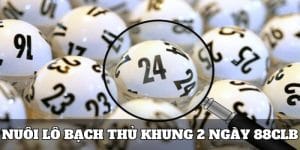 nuôi lô bạch thủ khung 2 ngày 88clb